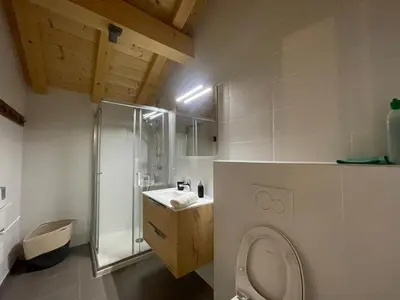 a bathroom with a toilet and a shower and a sink at Chalet de standing avec parking à Sixt-Fer-à-Cheval - FR-1-624-132 in Sixt