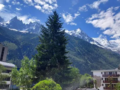 a large pine tree in front of a mountain at Chamonix: Charmant 2 pièces avec parking proche centre - FR-1-517-66 in Chamonix-Mont-Blanc