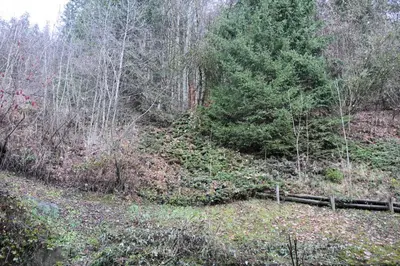 a wooded area with a fence and trees at Les Chalet Du Soleil - Chalets du Soleil 9 MAE-6344 in Saint-Gervais-les-Bains