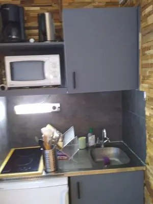 a kitchen with a sink and a microwave at Studio élégant à Chamonix in Chamonix-Mont-Blanc