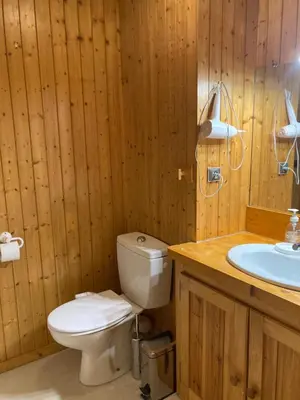 a wooden bathroom with a toilet and a sink at Abeille de Chamonix in Chamonix-Mont-Blanc