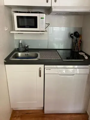 a small kitchen with a sink and a microwave at Abeille de Chamonix in Chamonix-Mont-Blanc