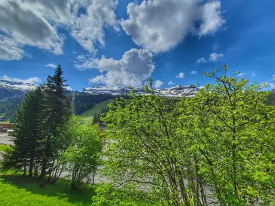 a group of trees in a field with mountains at Appart. 38m² pour 6 pers, balcon sud, pied des pistes - FR-1-687-115 in Arâches-la-Frasse