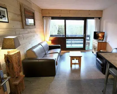 a living room with a leather couch and a television at Studio avec coin montagne au pied des pistes in Megève