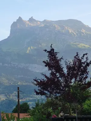 Gallery image of Les Ormeaux in Saint-Gervais-les-Bains