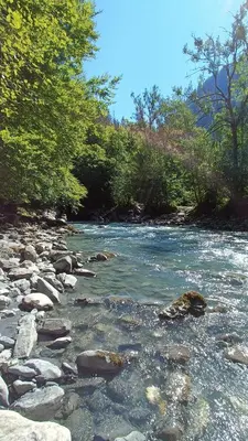 a river with rocks and trees on the side at Appartement pied des pistes - Samoëns 1600 in Samoëns