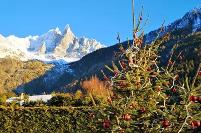 a christmas tree with snowy mountains in the background at Mazot le Petit Drus in Chamonix-Mont-Blanc