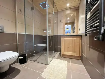 a bathroom with a toilet and a glass shower at Magnifique duplex 3 chambres près du Grand Massif, wifi et garage - FR-1-624-136 in Samoëns