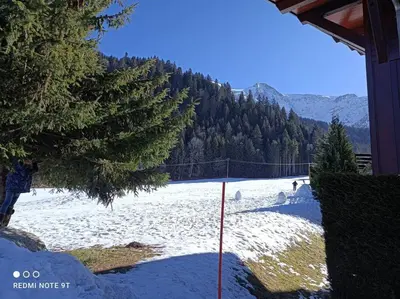 a snow covered field with trees and a ski slope at Appartement en rez de jardin vue montagne in Les Contamines-Montjoie