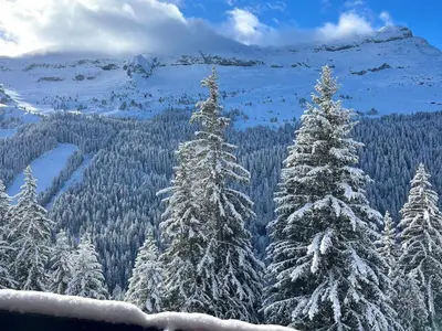 a group of snow covered trees on a mountain at Studio rénové avec cabine à Flaine, balcon ensoleillé - FR-1-425-201 in Arâches-la-Frasse