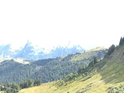 a view of a mountain with trees on a hill at Lucada Les Carroz in Les Carroz d'Araches