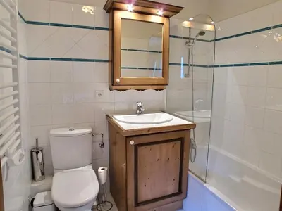 a bathroom with a toilet and a sink and a shower at Lucada Les Carroz in Les Carroz d'Araches