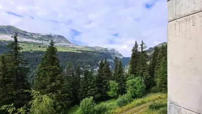 a hillside with trees and mountains in the background at Résidence Iris - Studio entièrement rénové avec cabine · Centre station · Balcon MAE-4504 in Magland
