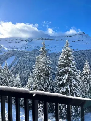 a view of snow covered trees from a balcony at Résidence Iris - Studio entièrement rénové avec cabine · Centre station · Balcon MAE-4504 in Magland