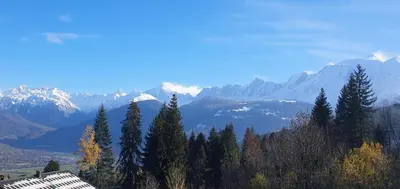 a view of a mountain range with trees and mountains at Résidence La Cry - Appartement 3 pièces - 6 personnes Vue Mont-Blanc MAE-5604 in Combloux