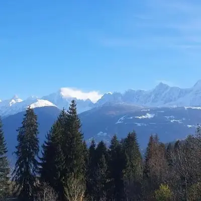 Résidence La Cry - Appartement 3 pièces - 6 personnes Vue Mont-Blanc MAE-5604
