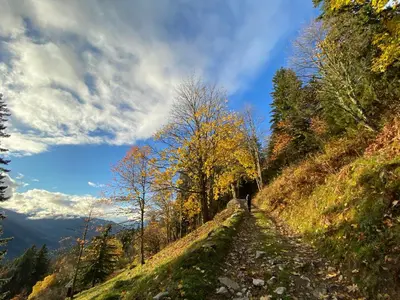 a person walking down a path on a hill at Apt Sakura - Le Grand Tetras in Samoëns