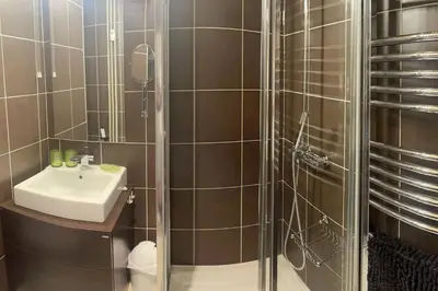 a bathroom with a shower with a sink and a toilet at LOUE STUDIO MEGEVE in Megève