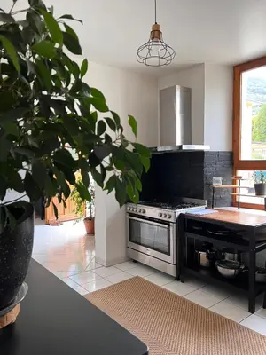 a kitchen with a stove and a potted plant at Duplex Sallanches - Terrasse, Centre & Parking by AlpenlySallanches in Sallanches