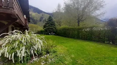 a grassy yard with a tree and a house at TellaHouse in Chamonix-Mont-Blanc