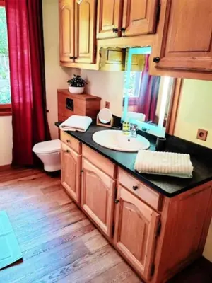 a bathroom with a sink and a toilet at les loges de l'Arpenaz in Magland