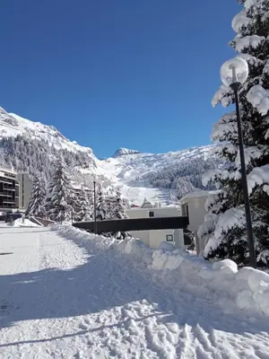 a bedroom with a bed with a vase of flowers at La spatule in Flaine