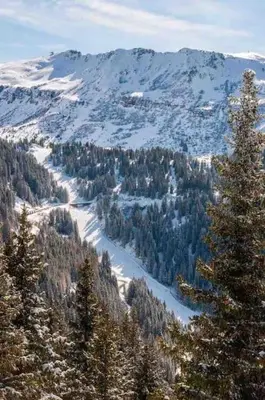 a view of a mountain with snow and trees at Studio très lumineux 4 pers in Les Carroz d'Araches