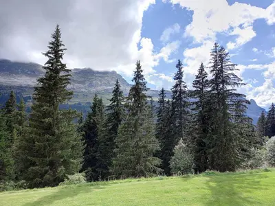 a group of trees on a hill with mountains in the background at Studio confortable · 4 personnes · Flaine Centre · Terrasse - FR-1-425-204 in Arâches-la-Frasse