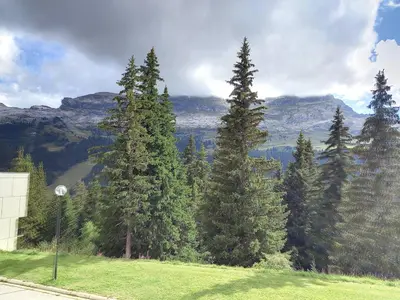 a group of trees on a hill with mountains in the background at Studio confortable · 4 personnes · Flaine Centre · Terrasse - FR-1-425-204 in Arâches-la-Frasse