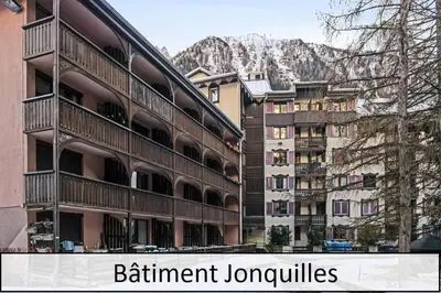 a large building with a mountain in the background at L'Aiguille - maeva Home - Appartement 2 pièces 5 personnes Confort MAE-7119 in Chamonix-Mont-Blanc