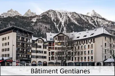 a group of buildings in front of a mountain at L'Aiguille - maeva Home - 2 Pièces 5 Personnes Confort MAE-2139 in Chamonix-Mont-Blanc