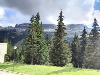 a group of trees on a hill with mountains in the background at Résidence Arche - Studio confortable · Centre station · Terrasse MAE-5084 in Magland