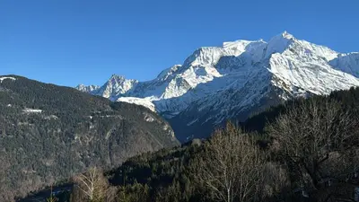 a snow covered mountain with trees in the foreground at LE GL'ASSIE in Saint-Gervais-les-Bains