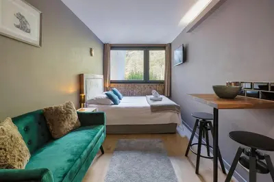 a living room with a green couch and a bed at Fantastic studio by the lake with Mountain View in Chamonix-Mont-Blanc