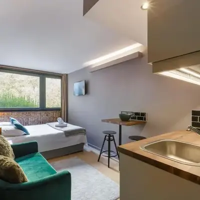 Fantastic studio by the lake with Mountain View