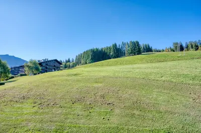 a large green field with trees on a hill at Marmots in Megève