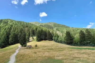 a grassy field with trees on the side of a mountain at Appartement montagnard avec vue sur le Mont-Blanc in Saint-Gervais-les-Bains