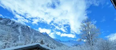 a view of a snow covered mountain with a tree at White Pearl Vue Mont Blanc in Chamonix-Mont-Blanc