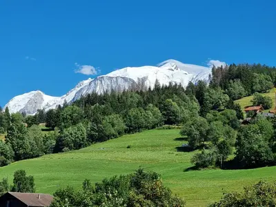 a green field with snow covered mountains in the background at Appartement neuf avec vue Mont Blanc, parking et wifi à Combloux - FR-1-560-113 in Combloux