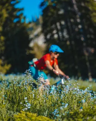 a man riding a bike through a field of flowers at Amethyste - 2 Bedrooms & Free Parking - By Cozee Rentals in Les Houches
