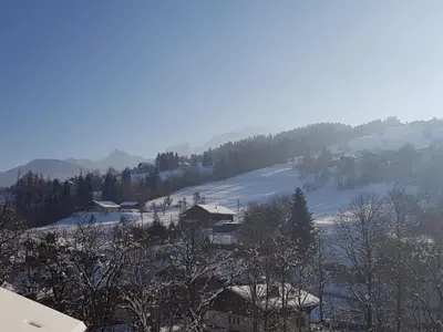 a snow covered hillside with houses and trees at Bel appartement 4 pièces près du village, parking inclus - FR-1-560-115 in Combloux