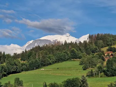 a green field with snow capped mountains in the background at Bel appartement 4 pièces près du village, parking inclus - FR-1-560-115 in Combloux