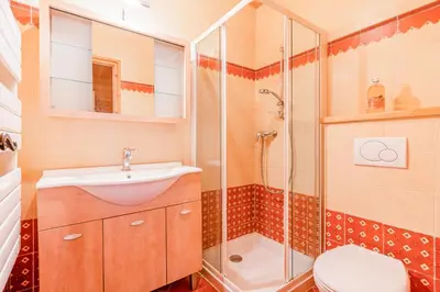 a bathroom with a shower and a sink and a toilet at Gîte des Cascades in Sixt