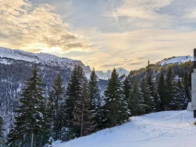 a group of trees in the snow on a mountain at Appartement lumineux · Centre station · 6 pers · Balcon · WI-FI - FR-1-425-205 in Arâches-la-Frasse