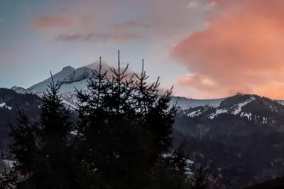 a view of a mountain with trees in the foreground at Studio - Le Vorasson Ideal for a duo break in Saint-Gervais! in Saint-Gervais-les-Bains