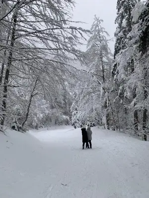 a couple of people standing in the snow at LES TOURISTES in Combloux