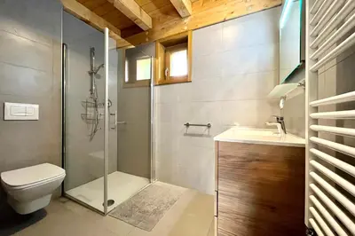 a bathroom with a shower and a toilet and a sink at Flocon du Medonnet in Combloux
