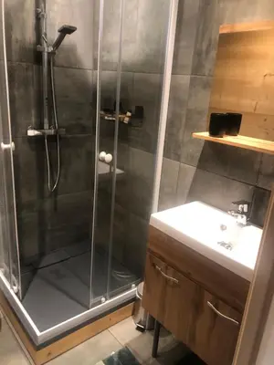 a bathroom with a shower and a sink at Le Nid Cosy in Passy