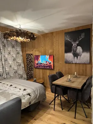 a bedroom with a bed and a table with chairs at Cocon au cœur de Chamonix avec parking gratuit in Chamonix-Mont-Blanc