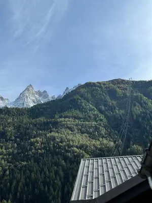 a view of a mountain with trees and a house at Cocon au cœur de Chamonix avec parking gratuit in Chamonix-Mont-Blanc